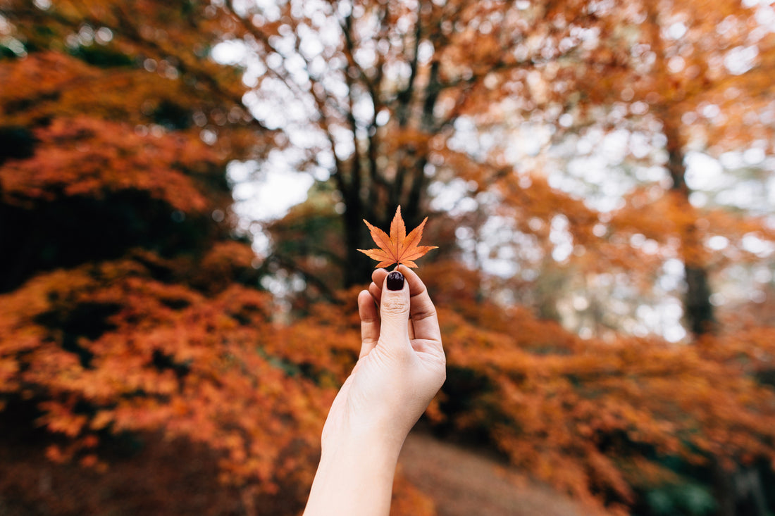 Fall Skincare Tips